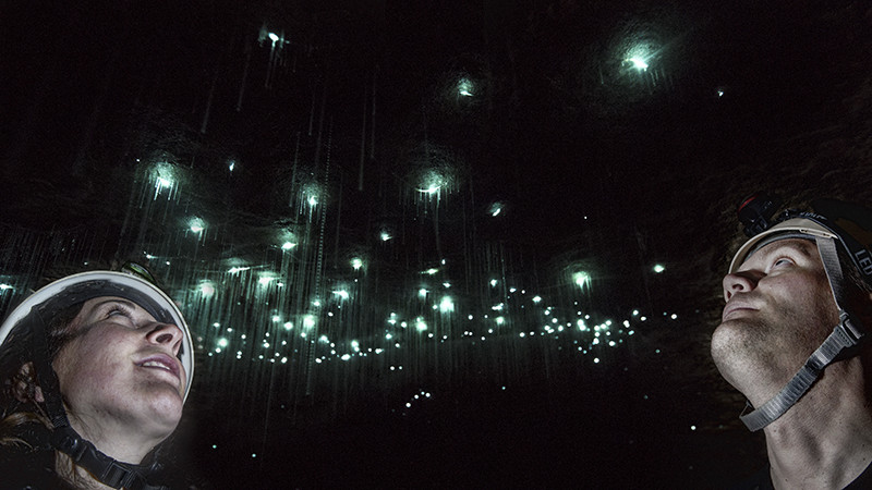 Explore the enormous Nile River cave system, with the galaxies of Glow-worms in residence. A stunning natural sight not to miss!
